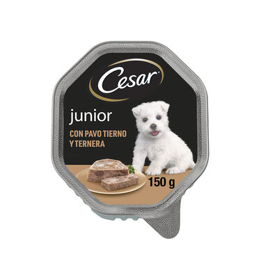 Cesar Junior Pavo y Ternera en sobre en salsa para perros 